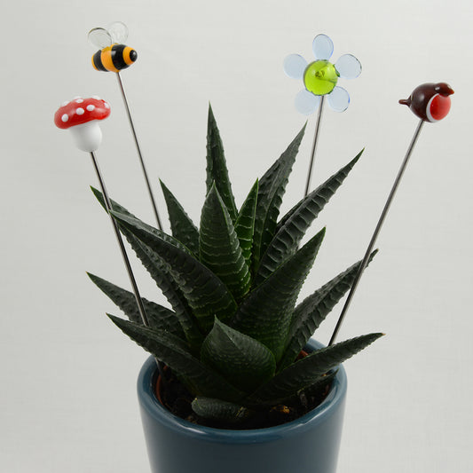Mushroom, bee, flower and robin glass plant stakes displayed in succulent plant